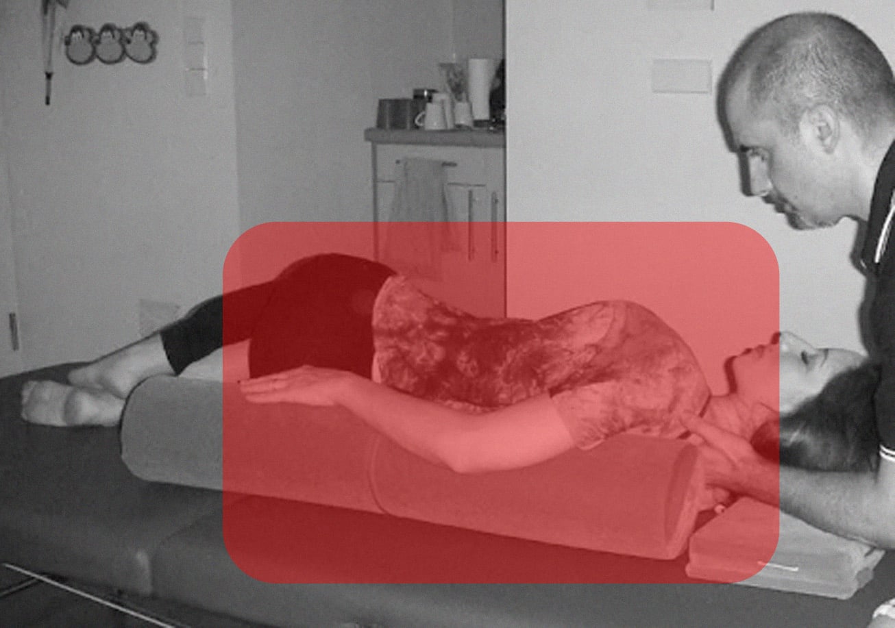 The Feldenkrais Method®