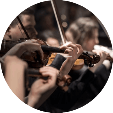 Feldenkrais Method® for Musicians